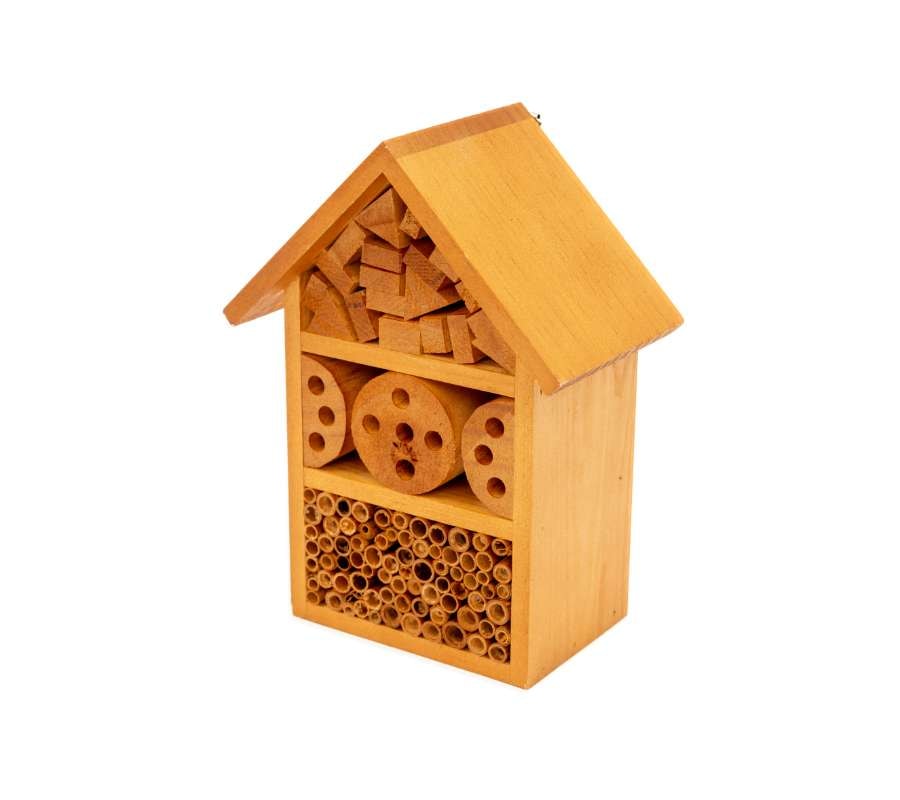 Insect House